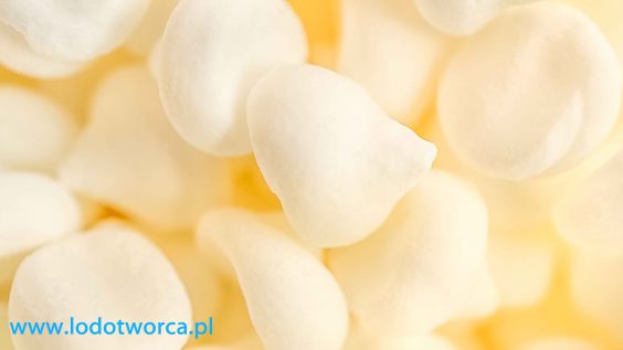 Najsolidniejsze lody włoskie w Rzeszowie