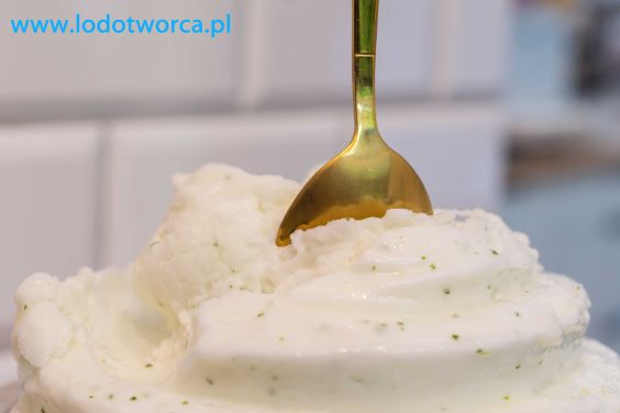 Wymarzone lody Rzeszów