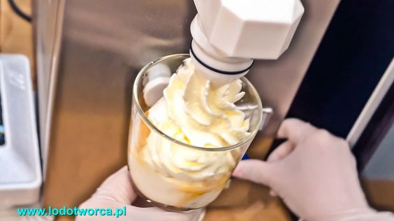Lody Rzeszów najniezwyklejsza lodziarnia
