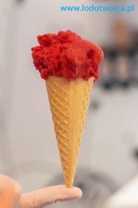 Lody Rzeszów najciekawsza lodziarnia